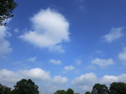 今日の朝は・・・。