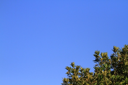 夏空・・・。
