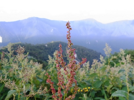 登山中・・・。