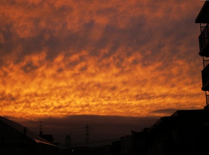 凄い夕暮れ！！