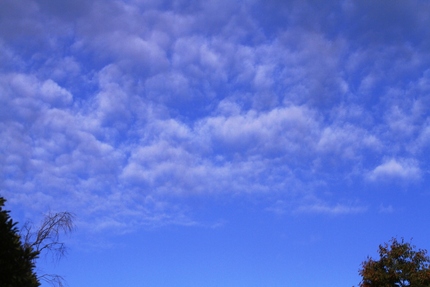 雲は秋の雲ですね。