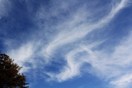 秋の雲・・・。