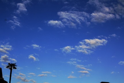 今日の空は・・・。