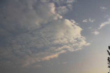 今日の朝の空は・・・。