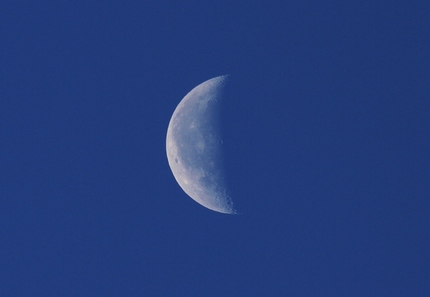 今日の朝の月は・・・。