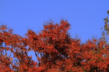 今日の空・・・。