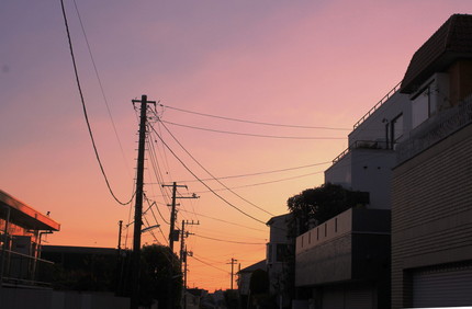 今日は・・・。