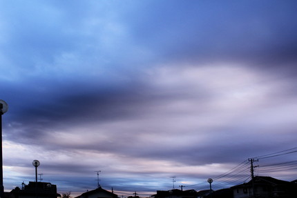 今日の朝・・・。