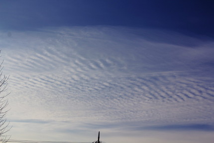 今日の朝の雲・・・。