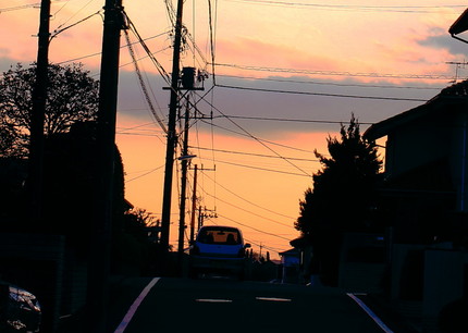 今日の早朝・・・。