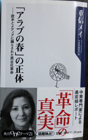 「アラブの春」の正体