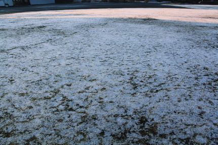 雪の止んだ朝は・・・。
