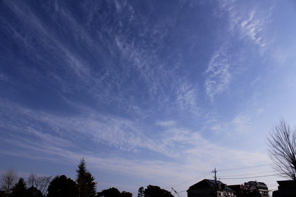 今日の朝の空・・・。