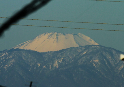 これ以上はっきり撮れなかった・...