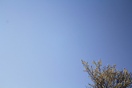 白っぽい空・・・。