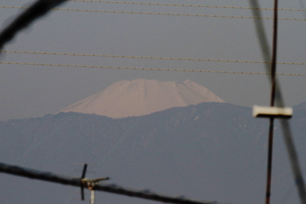 今日の富士山。