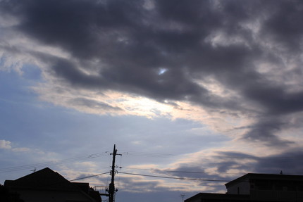 今日の朝。