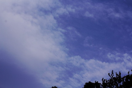 今日の朝の空。