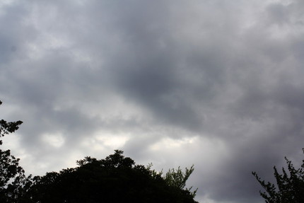 今日の天気・・・。