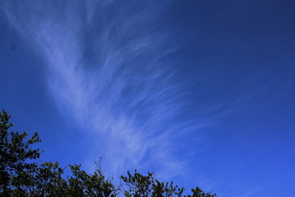 今日の朝の空は・・・。