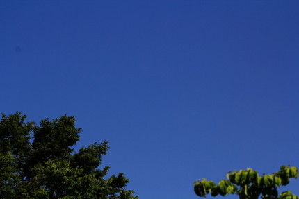 今日の空。
