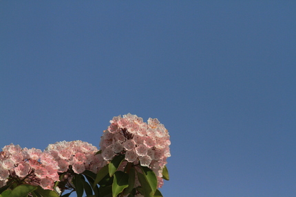 今日の朝は・・・。