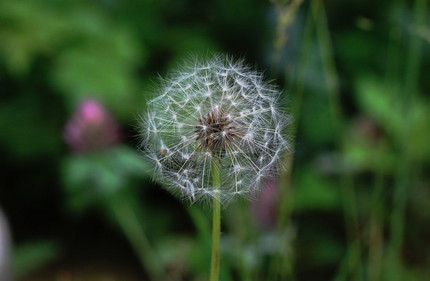幾何学模様・・・。