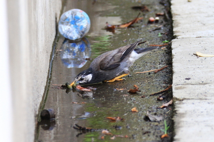 水補給・・・。