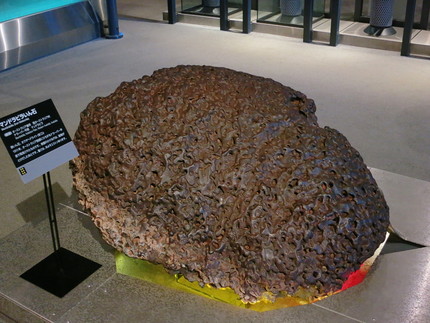 本物の隕石を見たのは初めて。 ...
