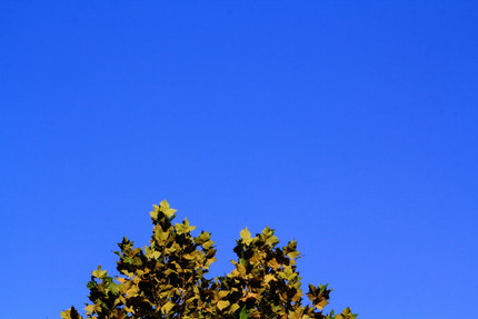 今日の朝の空は・・・。