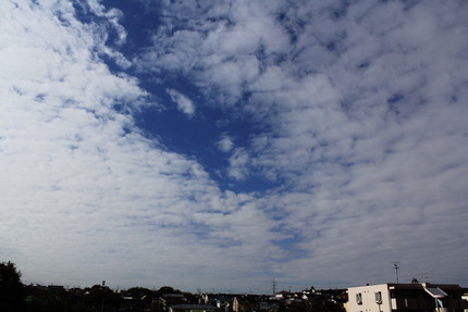 今日の朝は・・・。