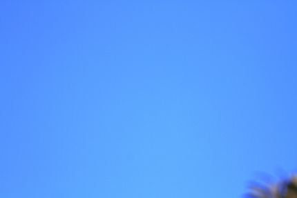 秋晴れ・・・。