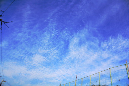 今日も・・・。
