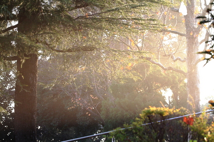 早朝の風景・・・。