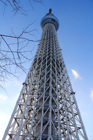 スカイツリー探訪記
