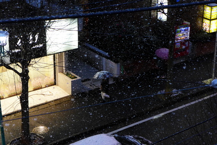 一気に本降りになってきました。...