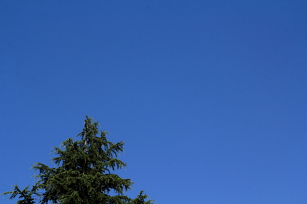 久々の雲のまったくない快晴の空...