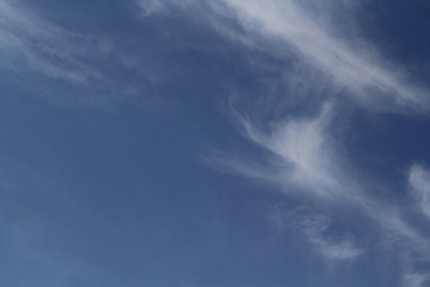 秋の筋雲っぽいですね・・・。...
