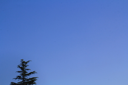 真夏の空というより飽きっぽい空...