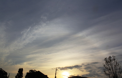 いかにも冬空・・・。...