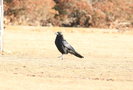 この黒づくめは今は損だね・・・...
