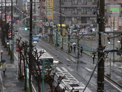本降りの冷たい雨です・・・。...