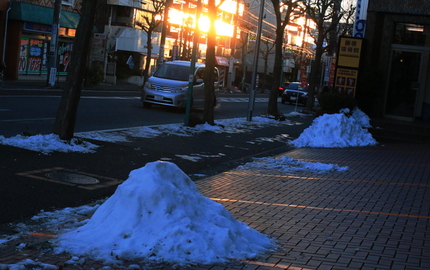 結構残ってます・・・。 寒々し...