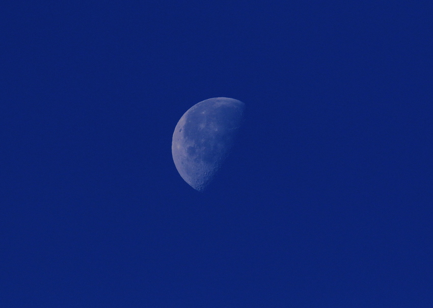 空の青がかなり濃いですね。...