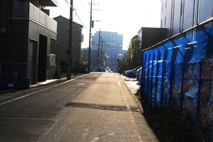 まぶしい日差し・・・。