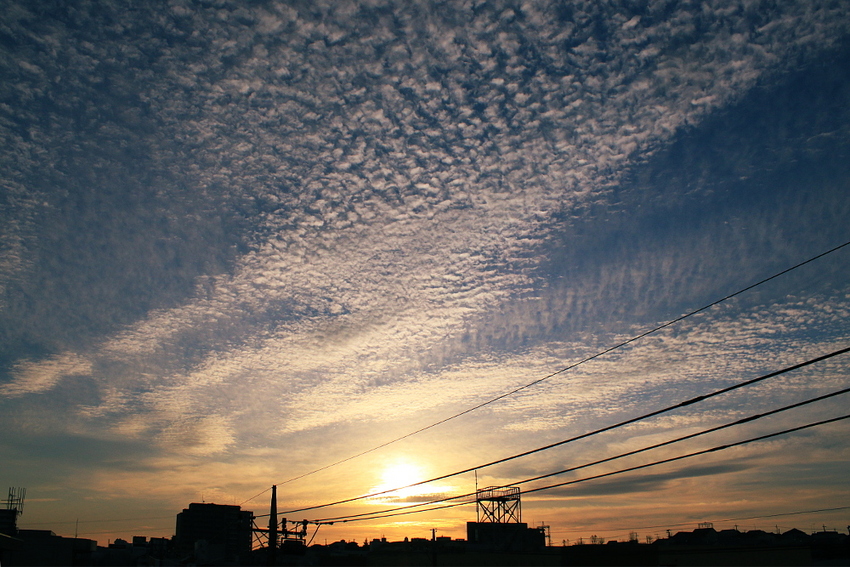サバ雲って感じですね・・・。...