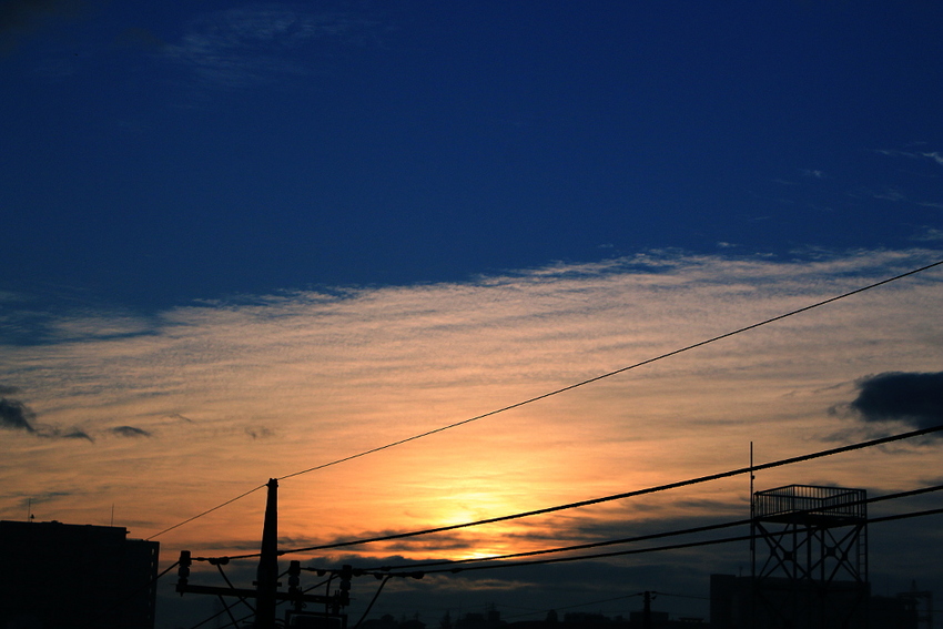 青空と雲の境がくっきりでした・...