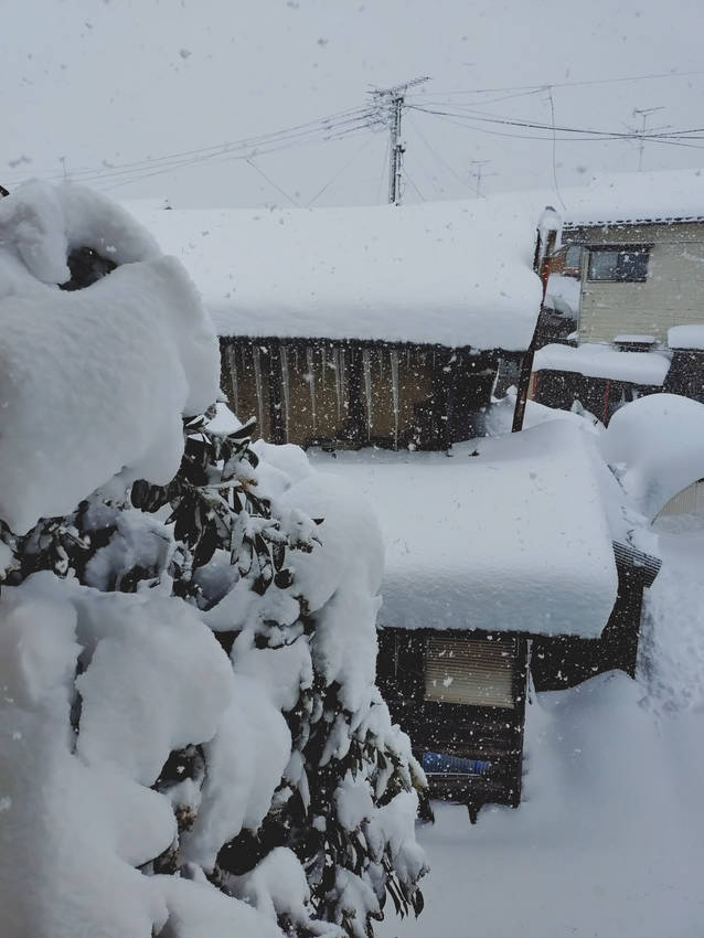 新潟らしい冬