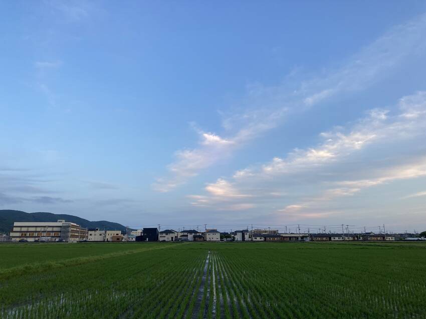 やりたいことをやりましょう