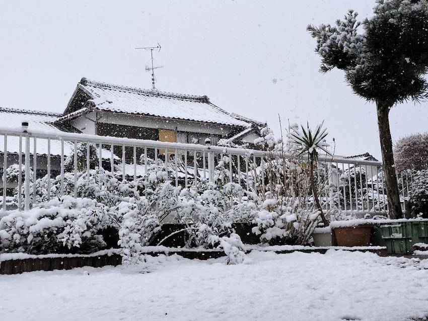 午前中　の　雪景色 ９時頃から...